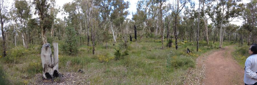 Railway Dam Reserve